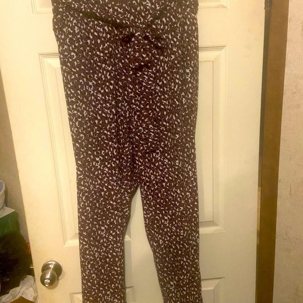 Torrid pant